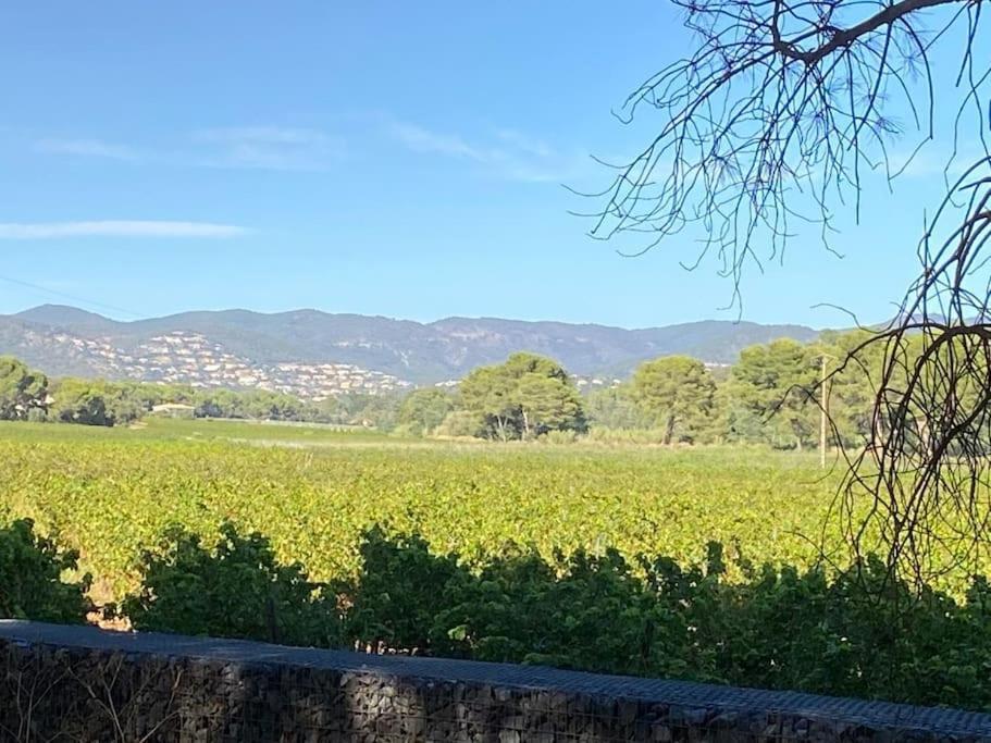 Ravissant T3 En Duplex Proche Mer La Londe-les-Maures Extérieur photo